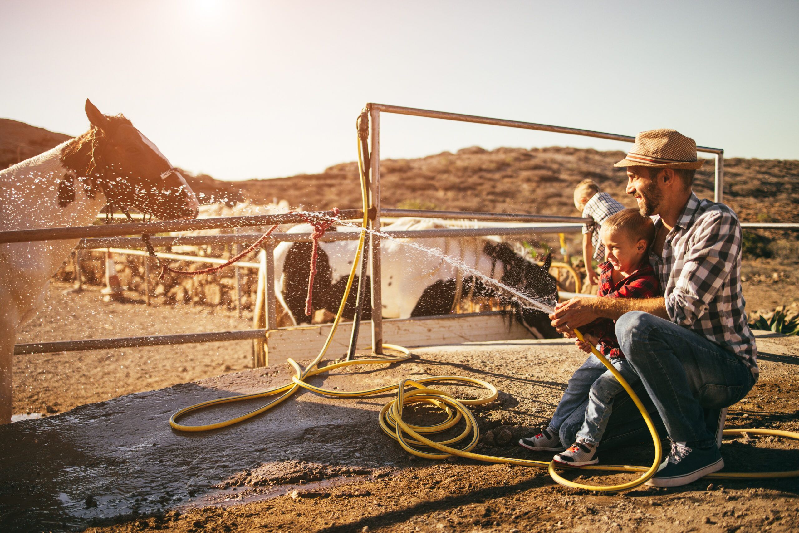 Father and son washing a horse at a ranch, focus on child's face