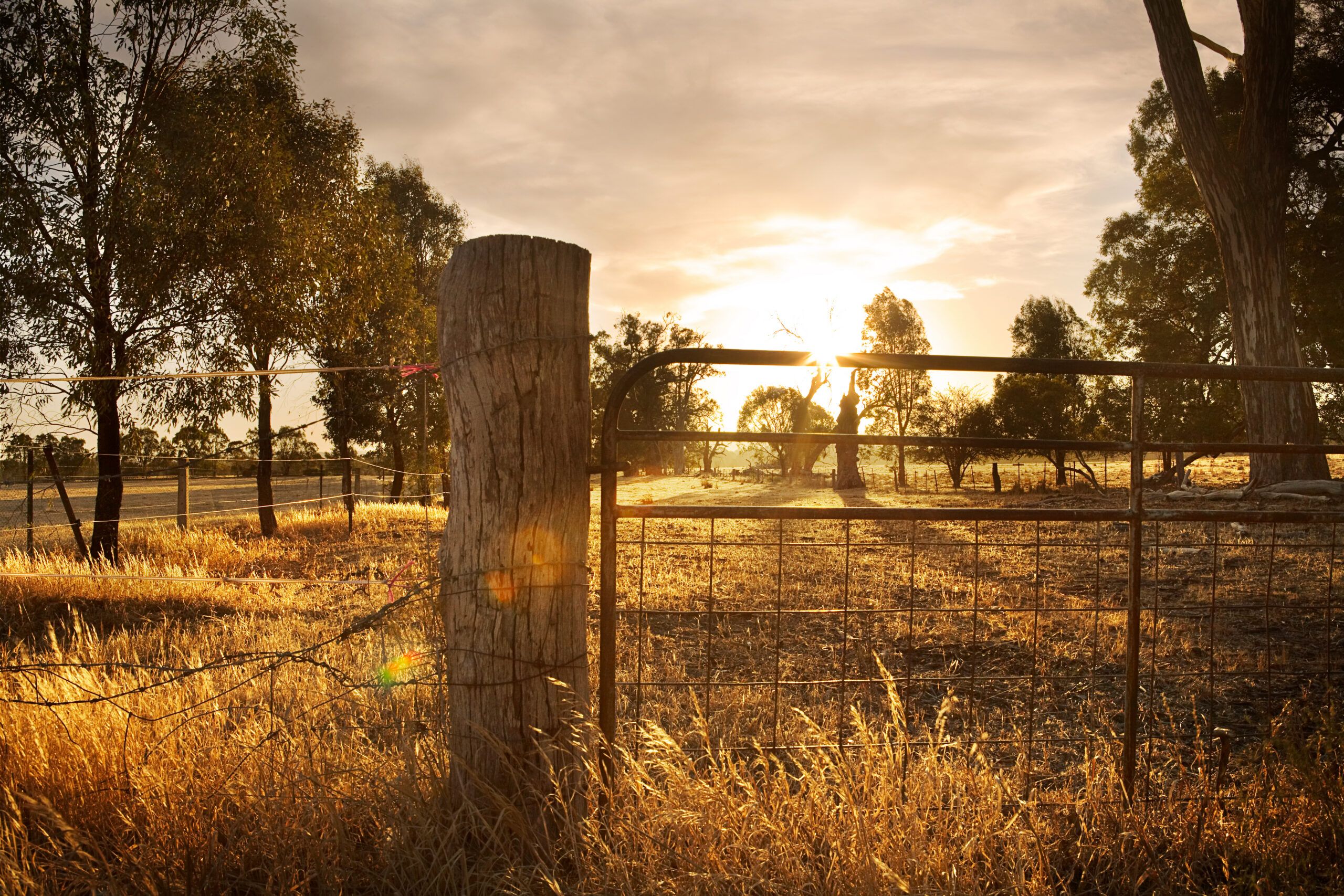 Farm gate entrance