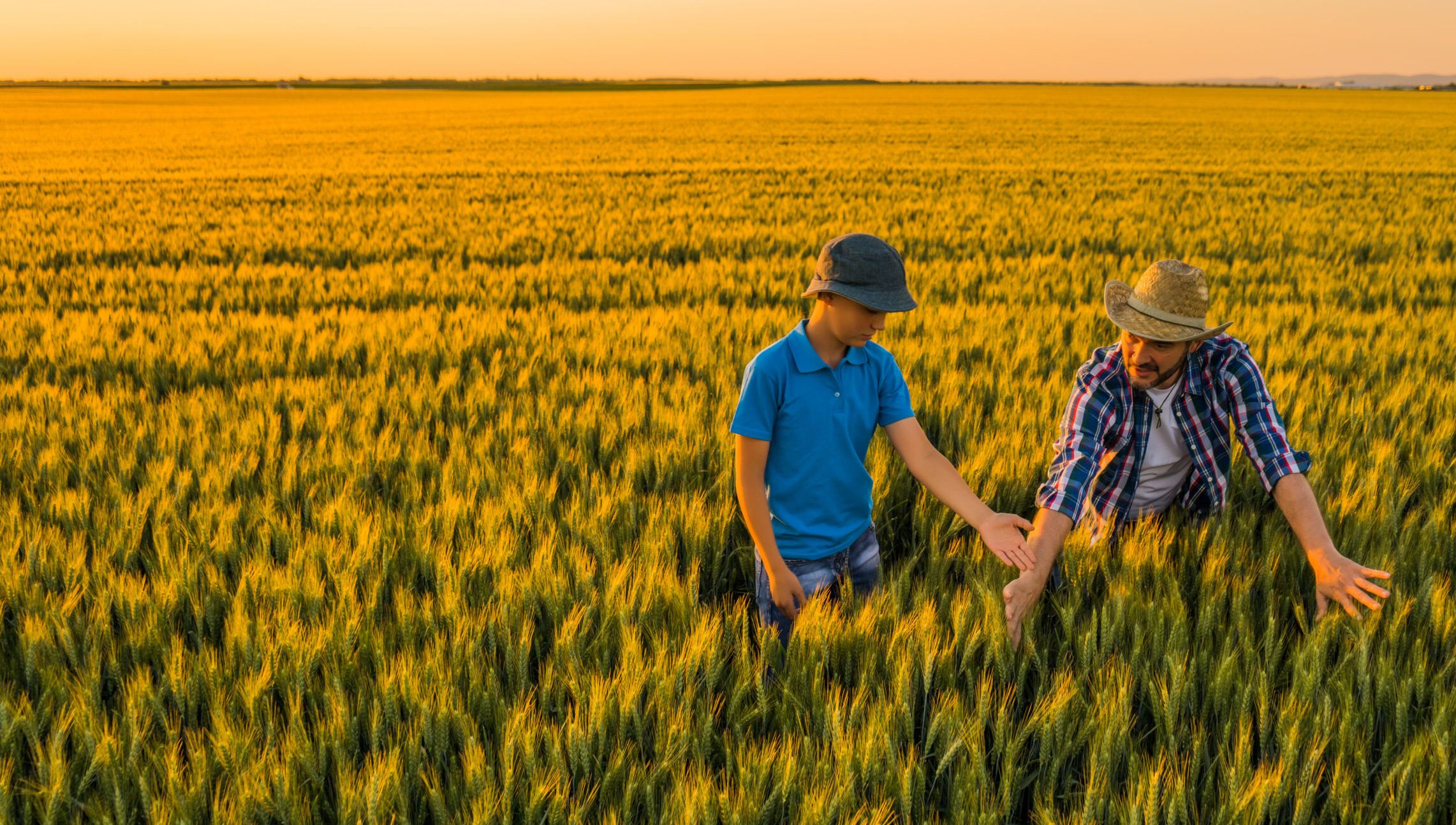 Farmer and son together in a field
