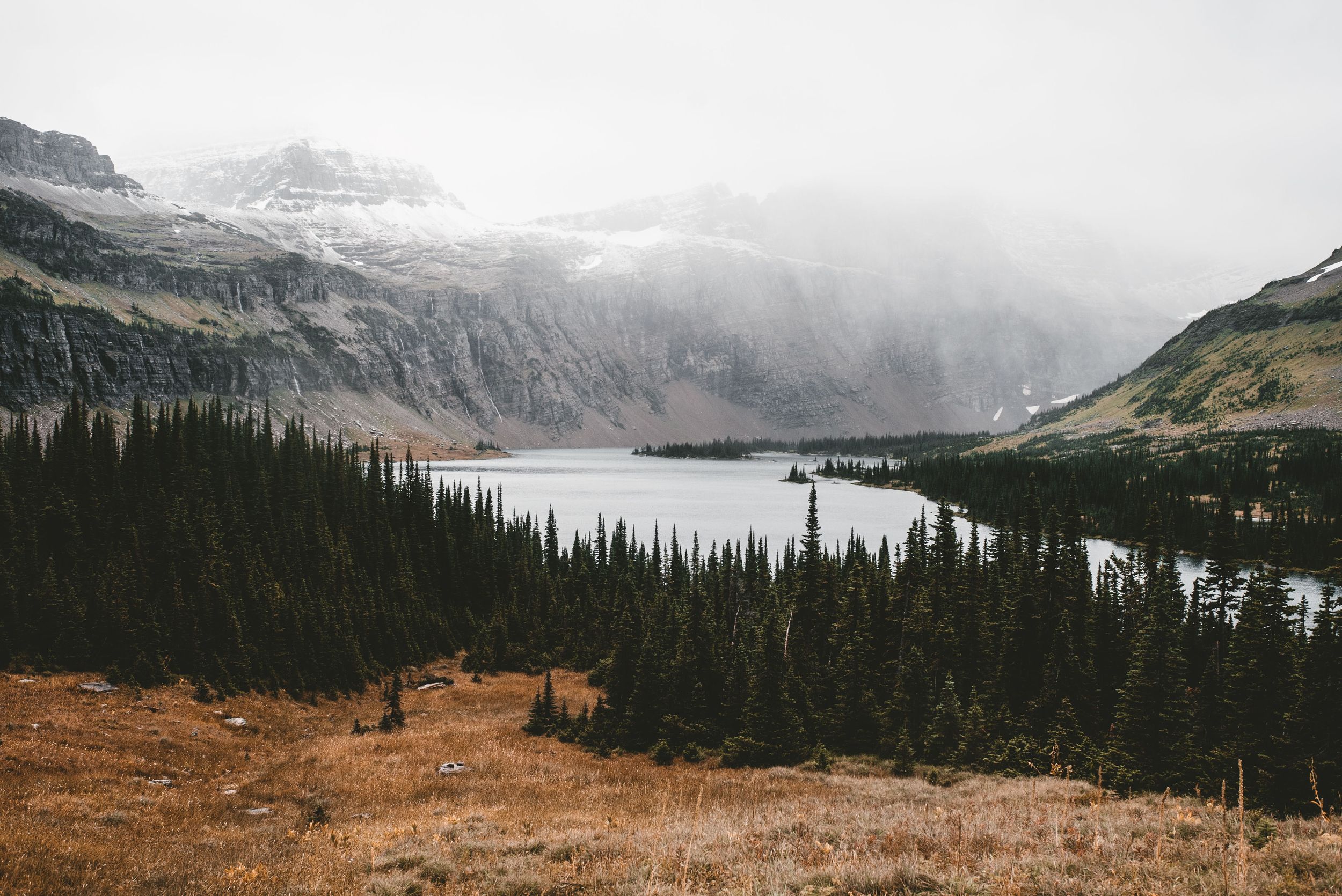 A misty landscape features a serene lake surrounded by mountains and dense evergreen trees, with autumn grass in the foreground.