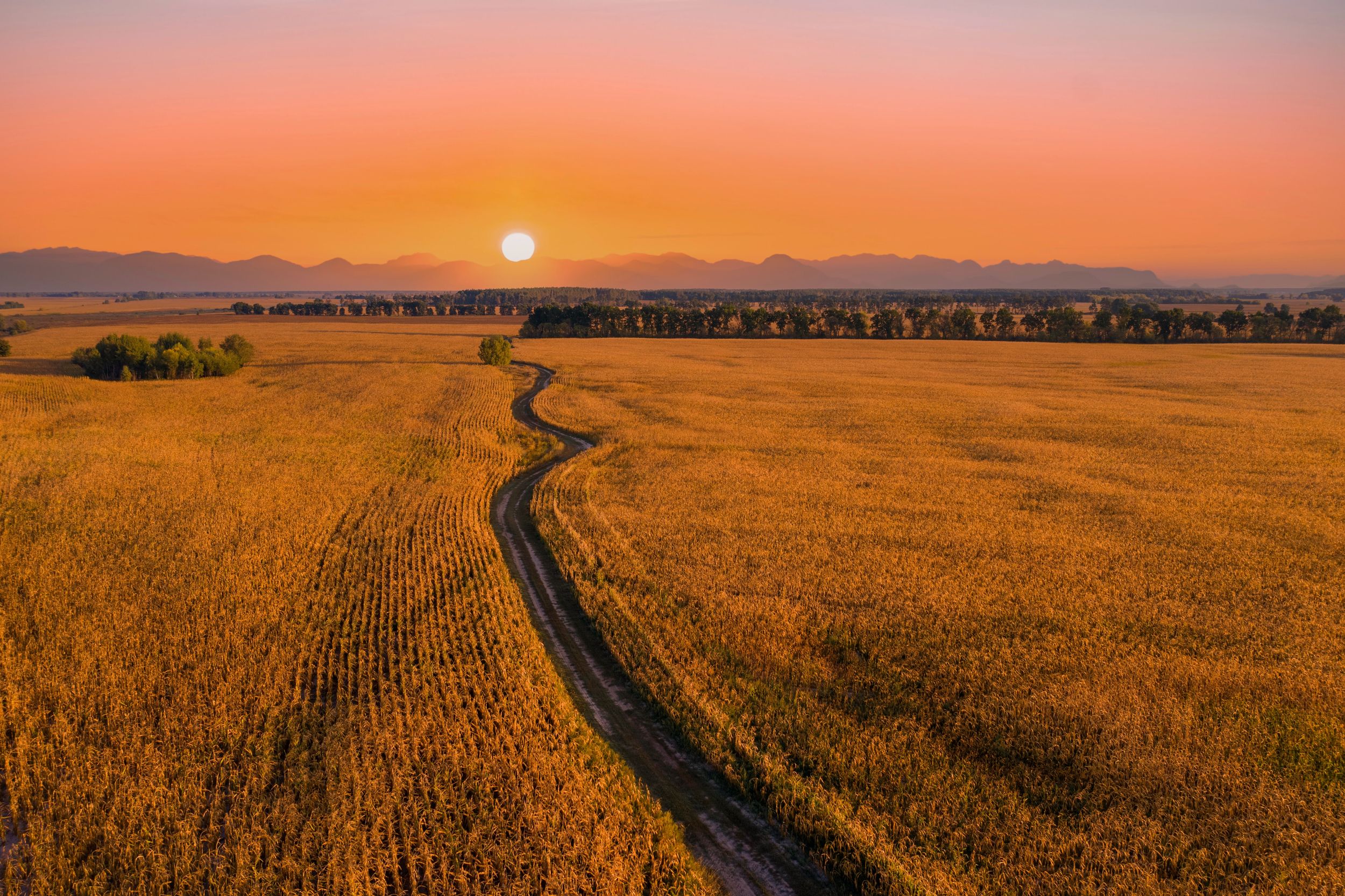 A winding dirt road leads through a golden field under a vibrant sunset with mountains in the background.