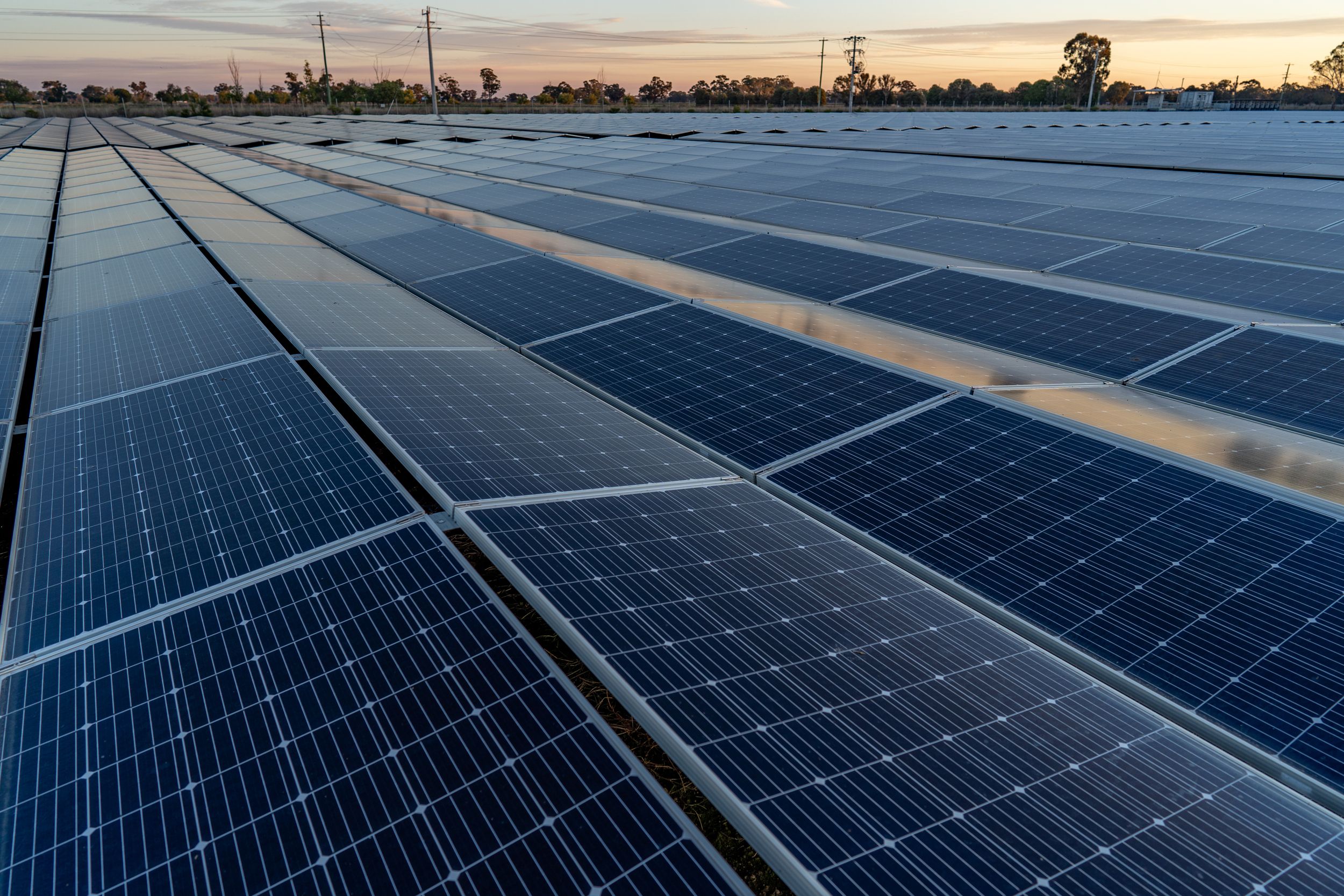 Wide view of solar panels arranged in rows, reflecting the sunset sky in the background.